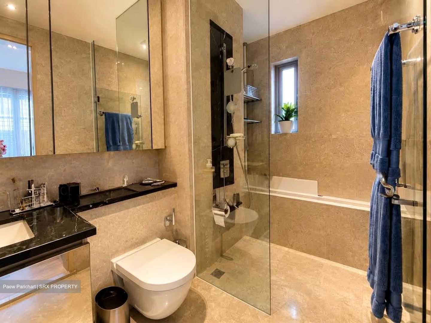 The Boutiq (D9), Apartment #580296651